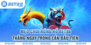 BET88 Hướng Dẫn Mẹo Chơi Rồng Hổ - Thắng Ngay Trong Lần Đầu Tiên